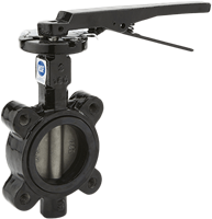 Butterfly Valves