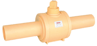 Polyethylene (PE) Ball Valves.png