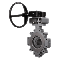 Cameron Triple Offset Valves, WKM Triple Offset