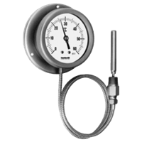 Delta Controls Expansion Thermometer, GE/GI
