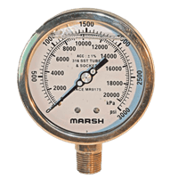 Marsh Bellofram Stainless Steel Gauge, NACE MR0175