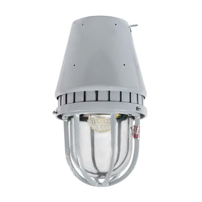 Emerson Appleton Luminaire, A-51